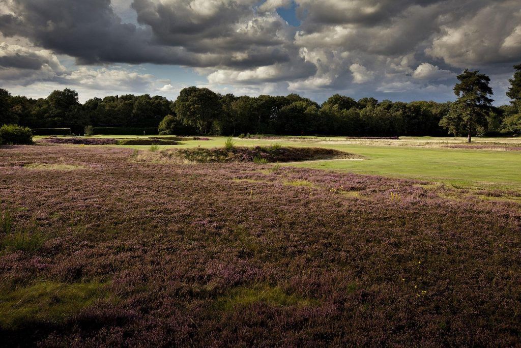 Walton Heath Golf Club - Old